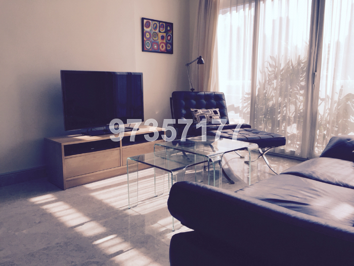 Thomson Vale (D11), Apartment #166884522